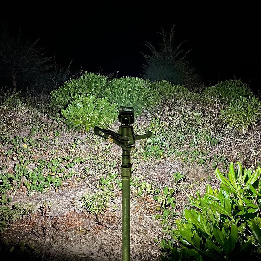 Rechargeable Mini Flashlight Keychain – Portable 800 Lumens Torch for Outdoor & Camping